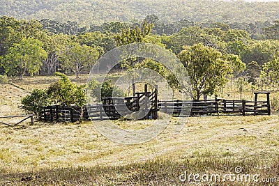 Wooden cattle yards with a bushland background. Stock Photo