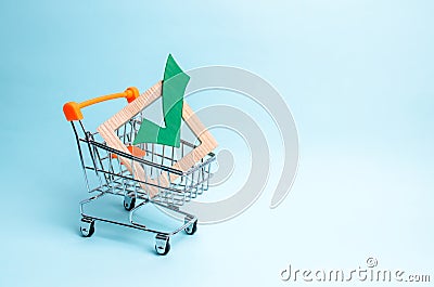 wooden checkmark for voting on elections in a supermarket trolley. Lobbying interests, election corruption voter bribery Stock Photo