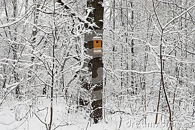 A wooden colored birdhouse during the winter with snow and everything froze. Snow and flat light, no shades Stock Photo