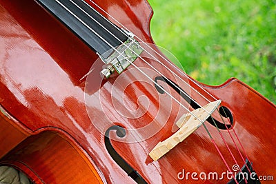 Wooden corpus of a chello with strings and the f holes Stock Photo