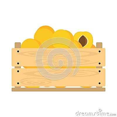 Wooden crate with apricots Vector Illustration