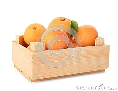 Wooden crate of delicious ripe sweet apricots isolated Stock Photo