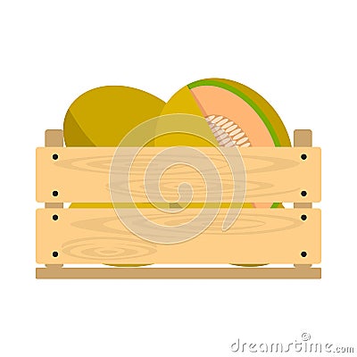 Wooden crate with honey melons Vector Illustration
