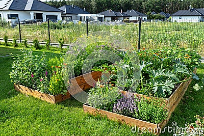 A wooden crate with various vegetables, standing on the grass in the garden. Stock Photo