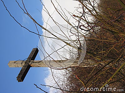 Wooden cross with bushes Stock Photo