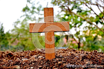 A wooden cross rose to the ground with natural background, Stock Photo