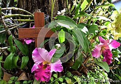 A wooden cross rose to the ground with natural background, Stock Photo