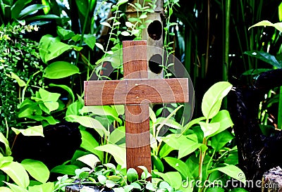 A wooden cross rose to the ground with natural background, Stock Photo