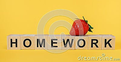 Wooden cubes with word Homework Stock Photo