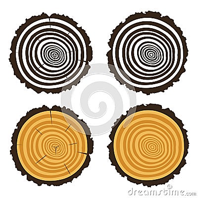 Wooden cut of a tree log with concentric rings, vector Vector Illustration