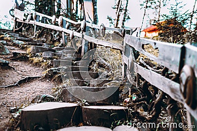 Wooden decorative stairway in forest Stock Photo