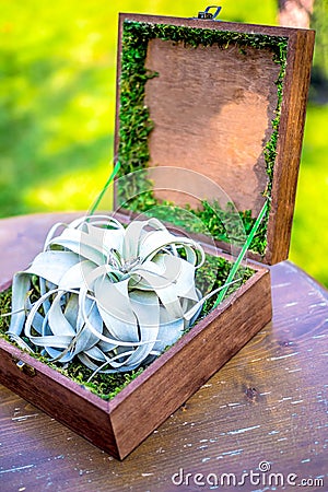 Wooden design gift-box on board Stock Photo