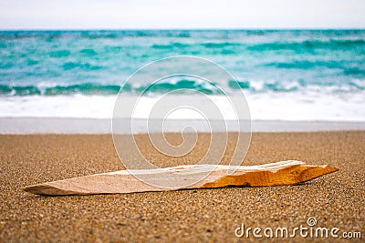 Wooden Direction indicator on sand. Small piece of wood for logo. Stock Photo