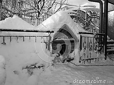 Dog house in winter Stock Photo