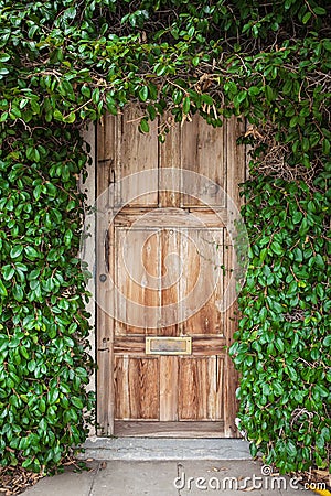 Wooden door with green leaves Stock Photo