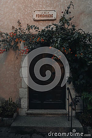 Wooden door leading to an abandoned building covered in lush vegetation Editorial Stock Photo