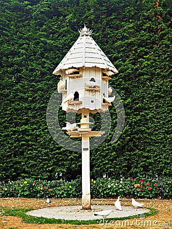 Wooden dovecote with white doves Stock Photo