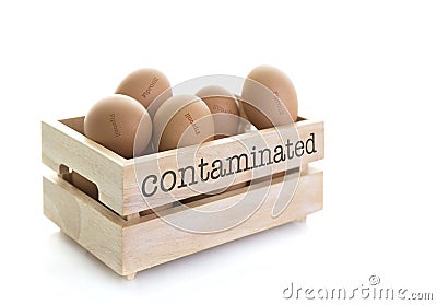 Wooden Egg Box full of Fipronil contaminated eggs Stock Photo