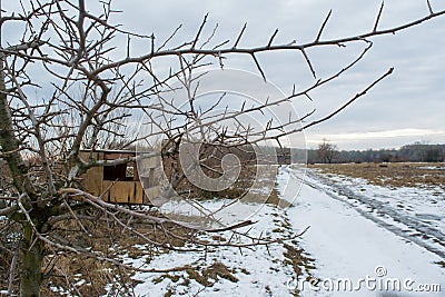 Wooden empty birds manger on tree during winter season Stock Photo