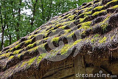 Wooden ethnic house with thatched roof. Halych Ethnography museum, Ukraine Stock Photo