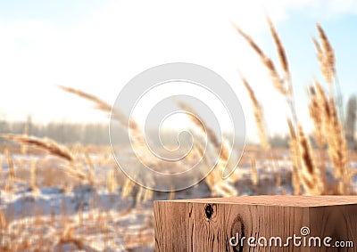 Wooden exhibition podium. Autumn blurred Background. 3D rendering Stock Photo