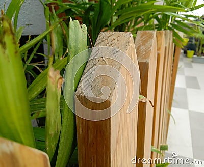Wooden fence in garden, nature photography, natural gardening background Stock Photo