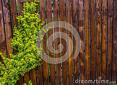 A wooden fence woven with whips. Background. Nature. Stock Photo