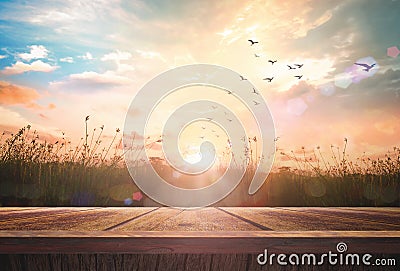 Wooden floor and birds flying on meadow sunrise Stock Photo