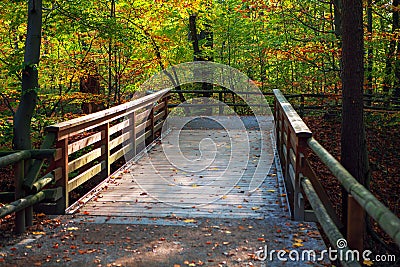 Wooden footbridge in autumn Stock Photo