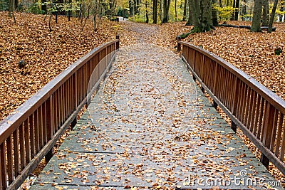 Wooden footbridge in fall Stock Photo