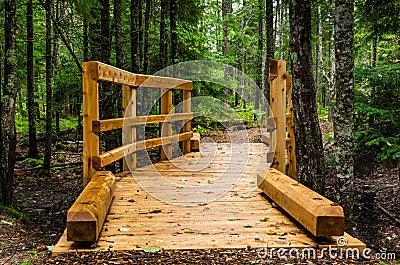 Wooden Footbridge in a Forest Stock Photo