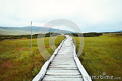 Wooden footbridge leading through peat bog Stock Photo