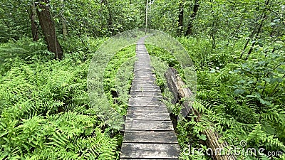 Wooden footbridge in the park near Wlodawa Stock Photo