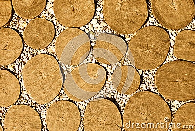 Wooden footpath Stock Photo