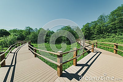 wooden footpath boardwalk in the bog swamp area Stock Photo