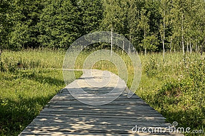 wooden footpath boardwalk in the bog swamp area Stock Photo