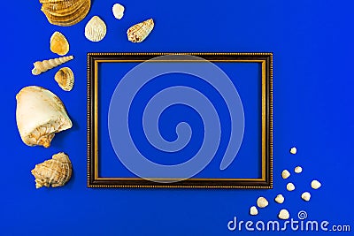 Wooden frame compoisition with summer seashell on a blue background, copy space, top view Stock Photo