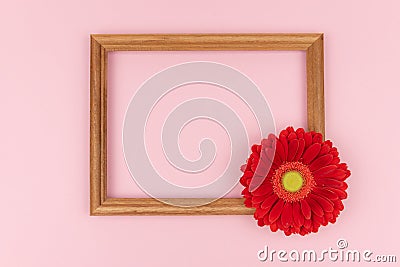 Wooden frame with red flowers gerbera on pastel pink background, copy space. Spring greeting card. Valentine`s day Stock Photo