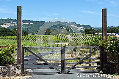 Wooden gate entrance to vineyard Stock Photo