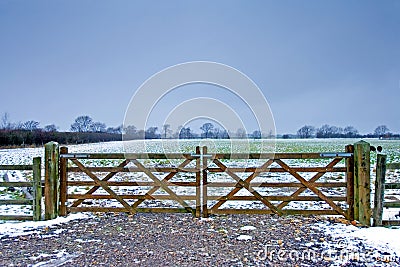 Wooden gate next to a wintery field with black sheep Stock Photo