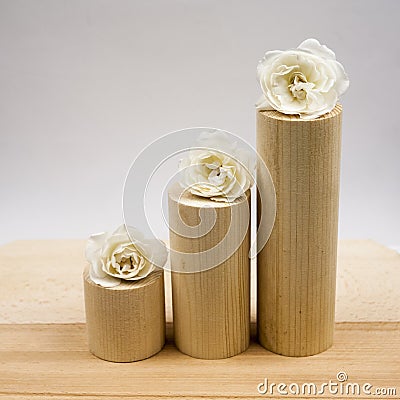 Wooden geometrical pieces with white roses Stock Photo