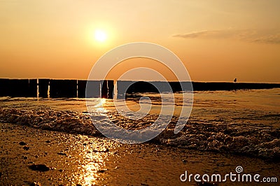 Wooden groynes at the beach Stock Photo