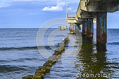 Wooden groynes covered with yellow green algae under a pier with columns of concrete and rusty metal Stock Photo