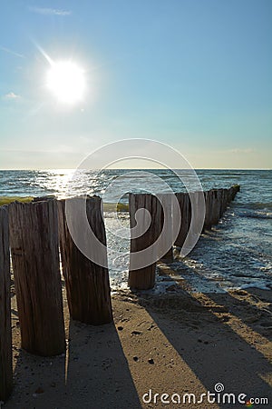 Wooden groynes at the North Sea beach with sun Stock Photo