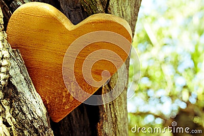 Wooden heart in the hollow of a tree, with a filter effect Stock Photo