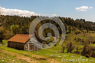 Wooden highland house on the edge of the forest in the high mountains Stock Photo