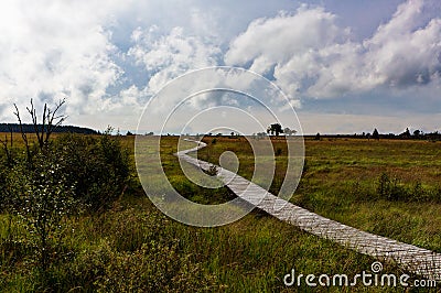 Wooden hiking path High Fens landscape Botrange Belgium Stock Photo