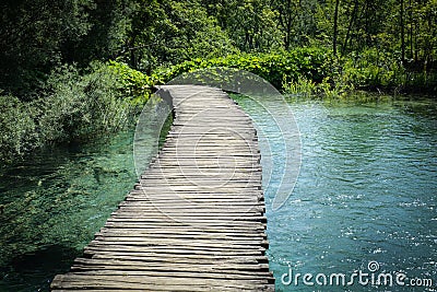 Wooden Hiking Path or Trail Stock Photo