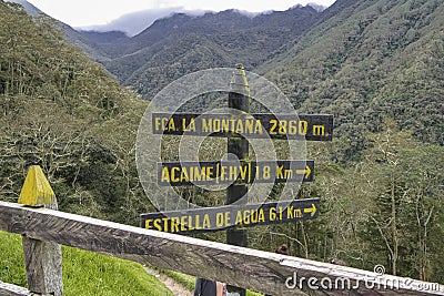 Wooden hiking signposts in Cocora Valley, forested mountains in background, Colombia Stock Photo