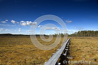 Wooden hiking trail through bog Stock Photo